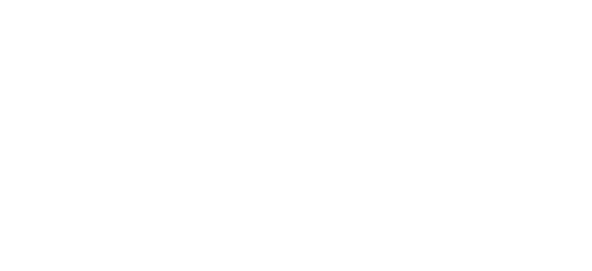 Smart WMS 天津小蜜蜂 logo